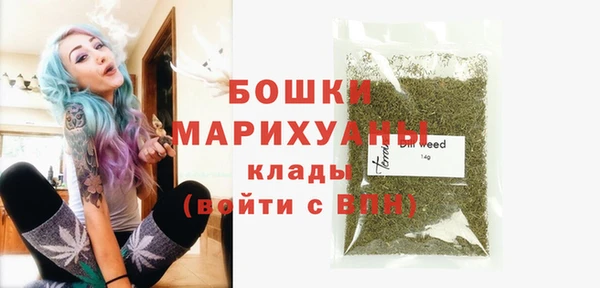 индика Верея