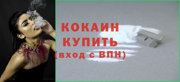 не бодяженный Бородино