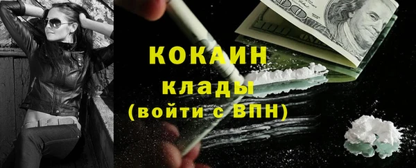 не бодяженный Бородино