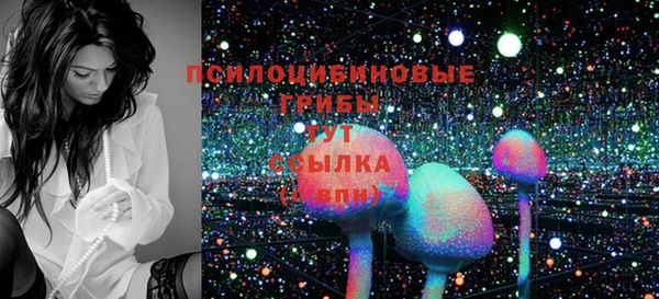 не бодяженный Бородино