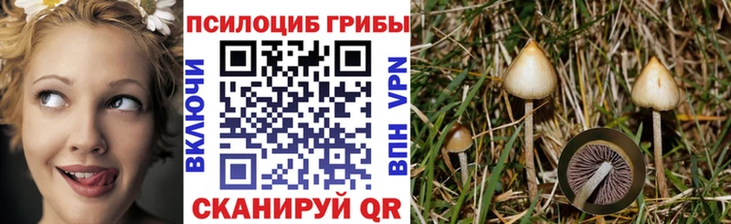Псилоцибиновые грибы прущие грибы  Купить закладки  Новохопёрск 